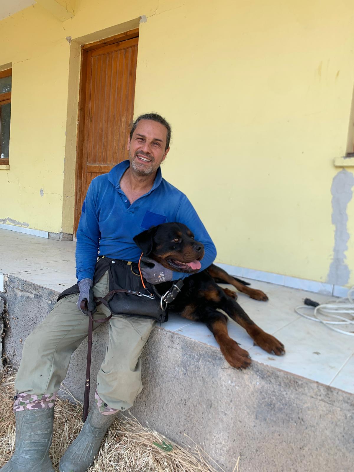 SKY Working Dogs